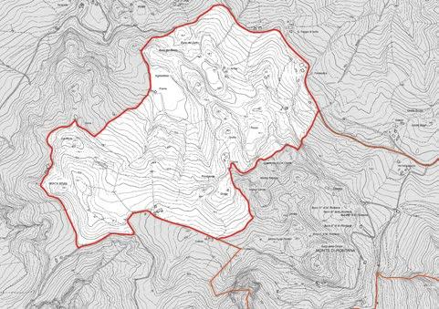 ADEGUAMENTO DEL PIANO TERRITORIALE PAESAGGISTICO DELL EMILIA-ROMAGNA AL CODICE DEI BENI CULTULI E DEL PAESAGGIO IMMOBILI ED AREE DI NOTEVOLE INTERESSE PUBBLICO [ARTICOLO136] identificativo bene: Zona