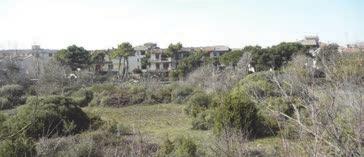 Dune recenti sono invece osservabili alle foci del fiume Bevano [bene paesaggistico 175], uno dei rari luoghi dove le attività legate al turismo non hanno sconvolto l ambiente naturale del litorale.