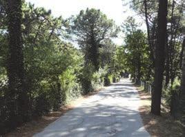 ancora più forte sul paesaggio della costa ravennate.