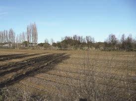 periurbano contesto insediativo diffuso e/o sparso DESCRIZIONE La Pineta di Cervia è oggi stretta tra il centro turistico