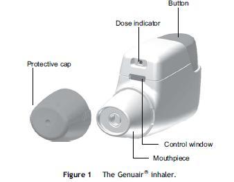 Genuair: di per sé farmaco Feedback acustico/visivo Prevenzione doppia dose Indicatore di dose Lock out (impedisce l uso di un