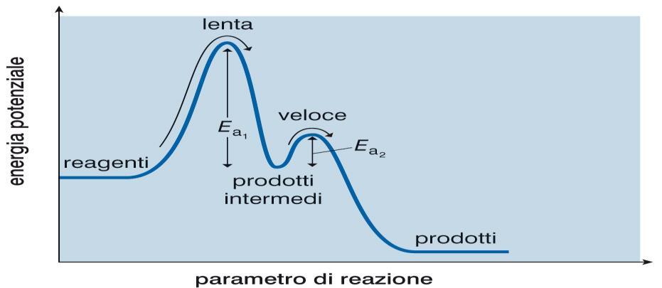 Il Meccanismo di Reazione Il meccanismo di una reazione è la successione degli stadi, o reazioni elementari, attraverso cui i reagenti