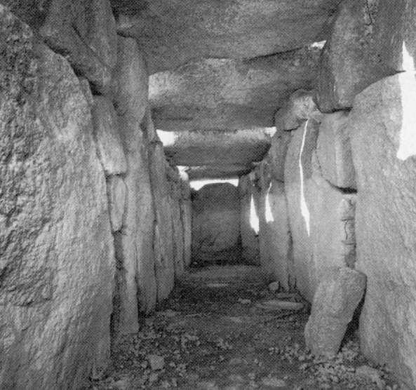 Una tomba di giganti è costituita da una camera sepolcrale allungata realizzata