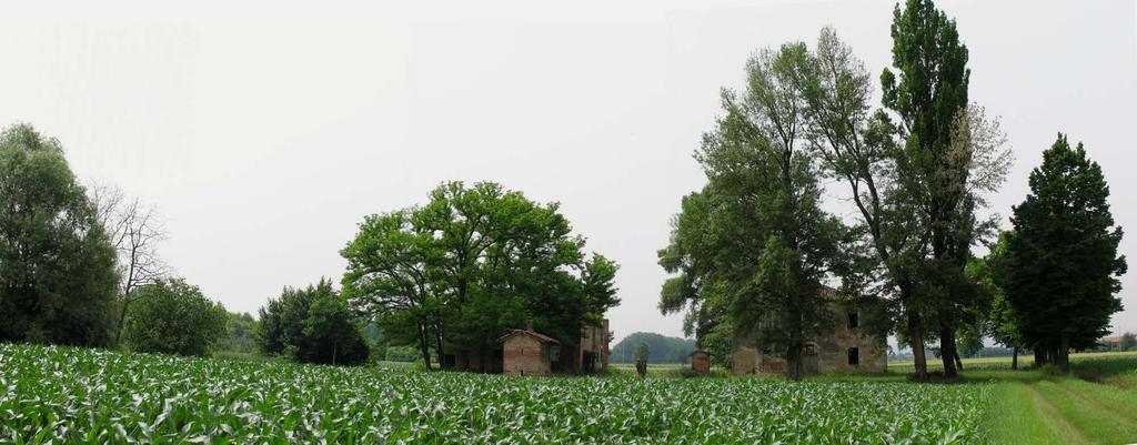 4 CORTE RURALE CASINO CON VERDE DI PREGIO E ALBERI MONUMENTALI 4/1- La corte rurale