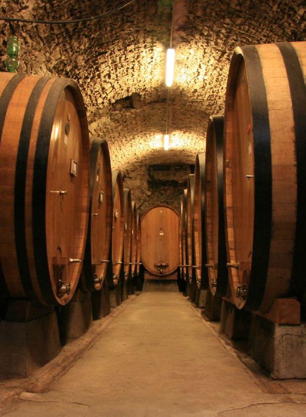 Visite alle Cantine con degustazione Visit to the wineries with tasting Mar 7 Cantina Perla del Garda Ritrovo ore 15.