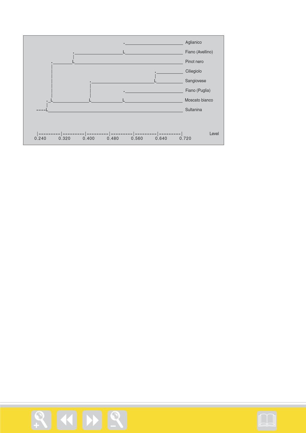 Fig. 5 - Dendrogramma di similarità genetica zionale sul Sangiovese, Firenze, 8-10 marzo. Calò A., Costacurta A., Crespan M., Milani N., Aggio L., Carraro R., Di Stefano R., Ummarino I., 2001.