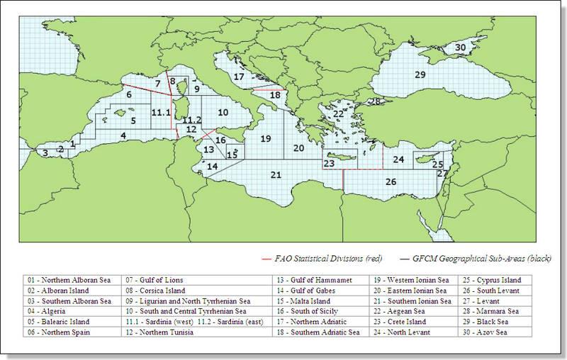 ANALISI DEI DATI DI PRODUZIONE DEI MARI ITALIANI È stato analizzato lo sbarcato commerciale in peso, dei mari italiani e delle GSA (GFCM Geographical Sub- Areas) italiane, raccolto nell ambito del