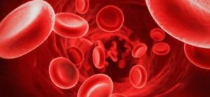 Che cos è un unità di sangue? Un unità è composta da circa 450 ml di sangue donato.
