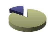 funzione di Risk Management (Finanziarie) Società che hanno istituito una funzione di Risk Management (Non Finanziarie) 7,7% 92,3% Ha una funzione di Risk Management Non ha una funzione di Risk