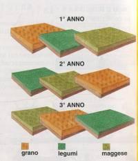 opportuni segnalatori chimici. L'agricoltura Cenni storici L invenzione dell agricoltura risale a circa 10000 anni fa nell area della Mesopotamia.