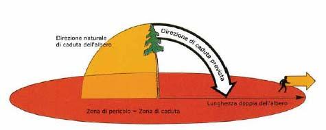 A chi è rivolto A tutti coloro che si avvicinano per scopi professionali e non ai lavori forestali Cosa