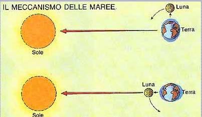 Campione di tempo Misura del tempo: fenomeni periodici Es.