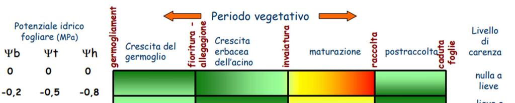 Stati idrici nei diversi intervalli fenologici del vigneto Germogliamento Fioritura Allegagione Invaiatura Raccolta