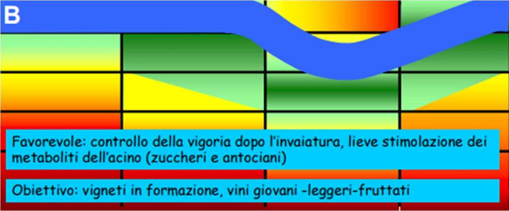 Deficit idrico controllato in funzione obiettivo di qualità Germogliamento Fioritura Allegagione Invaiatura Raccolta Caduta foglie Potenziale idrico fogliare(mpa) Ψb Ψt Ψh 0 0 0 Crescita germoglio