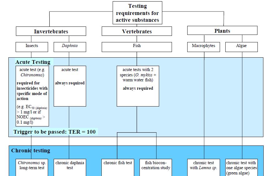 Tossicità acquatica: studi