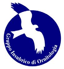 Gruppo Insubrico di Ornitologia c/o Museo di Storia Naturale dell Insubria via Manzoni 21 21050 Clivio (VA) www.gruppoinsubrico.
