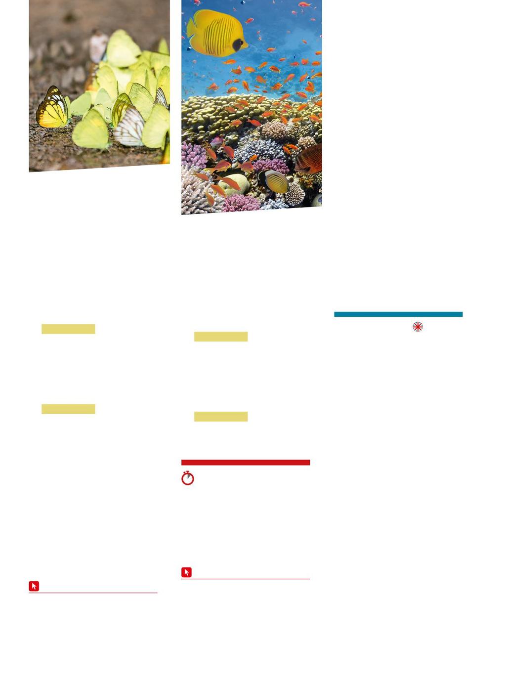 B5 La genetica e lo studio dei processi evolutivi 1 La genetica di popolazioni B110 2 Fattori che inducono la variabilità B113 La selezione naturale produce il migliore dei mondi possibili?