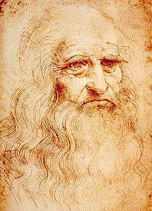 Molta gente ammirò Leonardo per la sua arguzia, la sua bellezza, le sue creazioni, ed il suo intelletto. Aveva un grande amore per la natura.