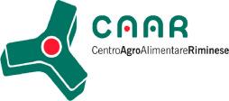 - Al Consiglio di Amministrazione del CAAR - Al Collegio dei Sindaci Revisori del CAAR RELAZIONE PERIODICA ODV del (Ai sensi del Decreto Legislativo 8 giugno 2001, n. 231 e s.m.i ed in conformità al Regolamento del Febbraio 2016, art.