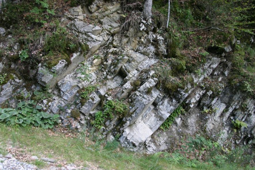 Bagni di Lusnizza Rio dello Zolfo Calcari neri della Fm.