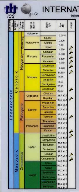 epoca Oligocene: intervallo di tempo compreso tra 25 e 40 ml di anni fa Ulteriore divisione di rango minore: piano (u.