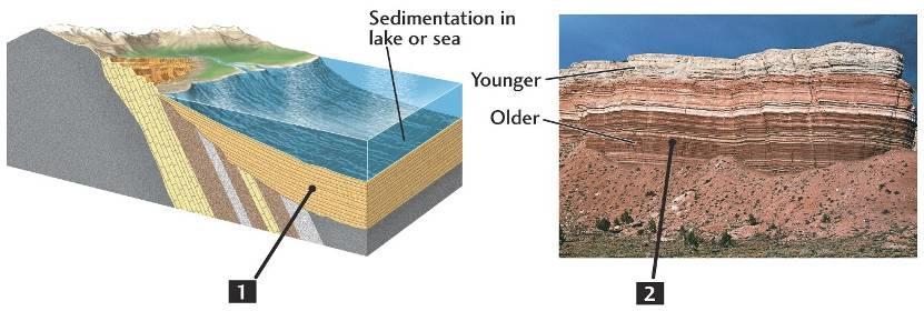 Principi generali Principio dell orizzontalità originaria Principio di sovrapposizione Sovrapposizione: Facile per rocce sedimentarie