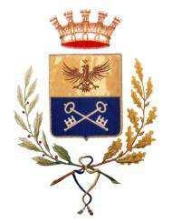 COPIA COMUNE DI CASTEGGIO Provincia di Pavia Codice Ente 26363 DELIBERAZIONE DEL CONSIGLIO COMUNALE N. 5 reg. delib.