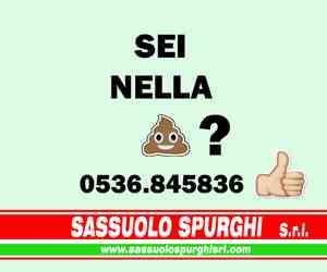 Sezione: sassuoloonline.it www.sassuoloonline.it Lettori: n.d.