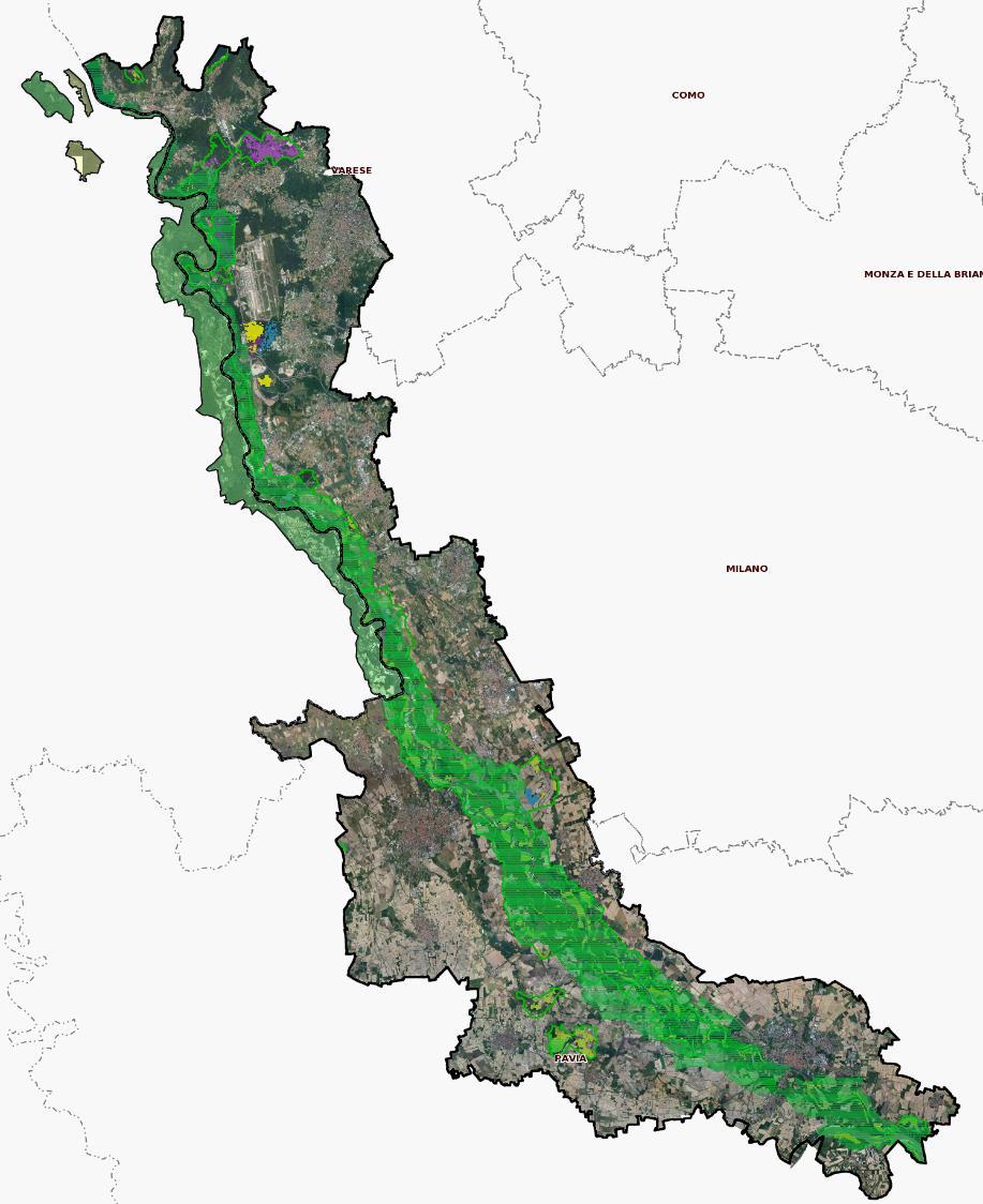 Esempi di valutazioni di incidenza coordinate tra i due Parchi del Ticino Interventi che riguardano direttamente il Ticino opere di