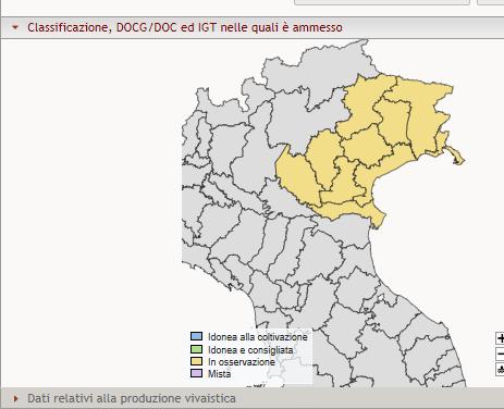 I vitigni resistenti (peronospora e oidio) 10 vitigni iscritti al RNVV dal 2015 Produzione