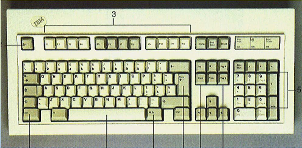 Tastiera Tasti con funzione assegnata dal software 7