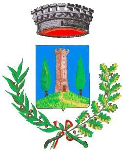COMUNE DI TORREBELVICINO Provincia di Vicenza ORIGINALE VERBALE DI DELIBERAZIONE DEL CONSIGLIO COMUNALE N.