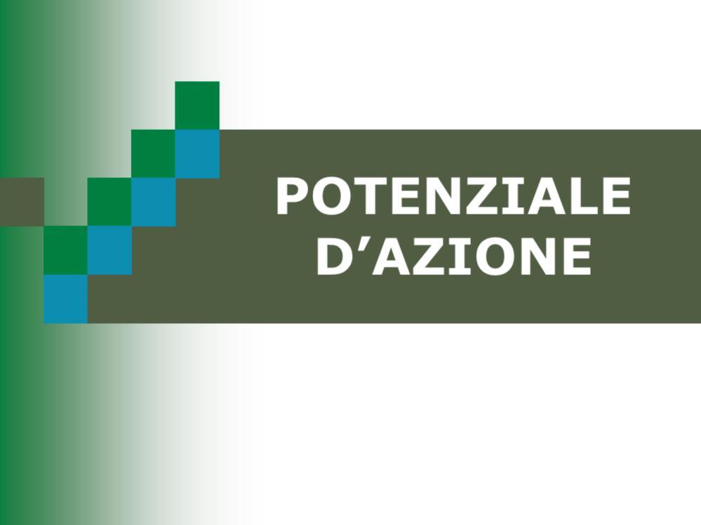 Tutte le cellule sono capaci di generare potenziali elettrici a riposo a cavallo delle membrane cellulari e sono in grado di cambiare la loro permeabilità ai vari ioni.