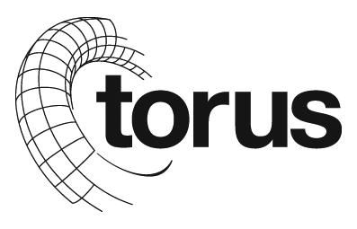 TORUS Easy Business Polizza assicurativa studiata da AEC per la responsabilità civile