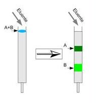 CROMATOGRAFIA Il termine cromatografia racchiude una serie di metodi analitici in grado di separare, identificare e quantificare singolarmente i diversi componenti presenti in miscele di analiti