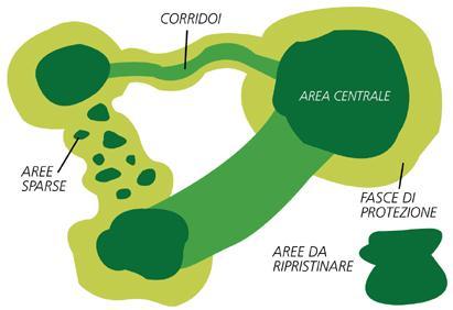 Una questione di rete (ecologica) aree nucleo/nodi