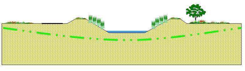 Nell intorno dell attraversamento il corso d'acqua presenta un andamento longitudinale sinuoso.