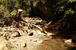 rovesciati nel torrente