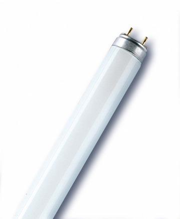L 18 W/77 FLUORA T8 Lampade fluorescenti lineari 26 mm, attacco G13, per la crescita delle