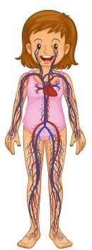 Il coinvolgimento renale in corso di Arterite di Takayasu 1 Il coinvolgimento renale in corso di Arterite di Takayasu L'arterite di Takayasu (TA) è una malattia infiammatoria delle grandi arterie.