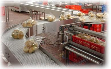 Il processo di lievitazione horleywood Bread Process (BP) Introdotto nel 1961 dalla British Baking Research Association a horleywood ggi usato in tutti i panifici industriali Questo prodotto richiede
