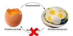 La struttura delle proteine Denaturazione In condizioni di p