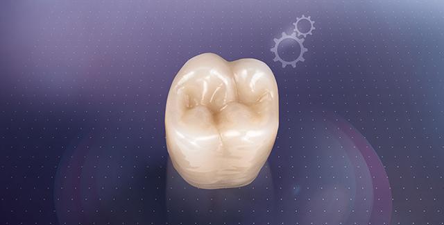 VITA MFT Posterior Per tutti i concetti protesici, grazie al design occlusale multifunzionale Descrizione Denti posteriori Basic in polimero HC con superfici occlusali funzionalmente ottimizzate.