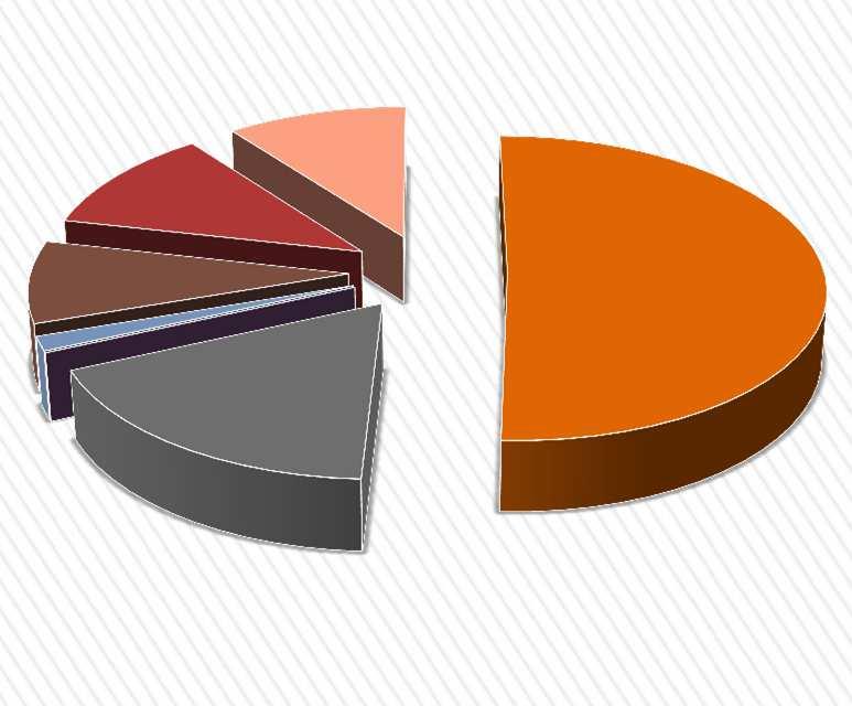 Composizione delle entrate: Previsione 2015 Entrate ENTRATE TRIBUTARIE (compreso Contributo Statale) ENTRATE EXTRA TRIBUTARIE 8,70% 11,20% 10,30% 50,70% ACCENSIONE