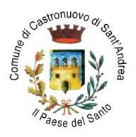 COMUNE DI CASTRONUOVO DI SANT ANDREA (Provincia di Potenza) PIANO FINANZIARIO E RELAZIONE RELATIVA AL SERVIZIO DI