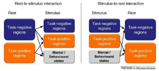 The Study of Functional Brain with Molecular Neuroimaging Brain Areas with High Resting State Activity within the Default Mode Network