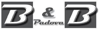 PRESENTAZIONE DELL AZIENDA INTRODUCE DIN EN ISO 9001 La B & B PADOVA è lieta di presentare al mercato del fissaggio italiano il marchio Europeo ESMARK.