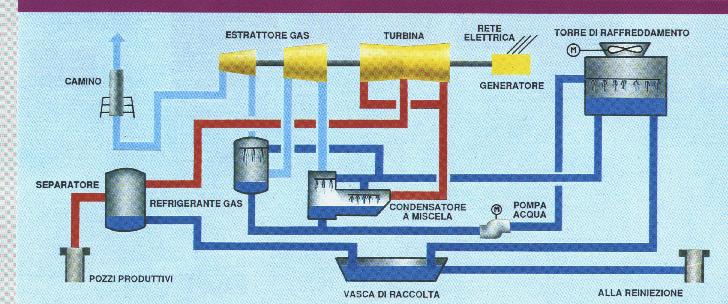 Vallesecolo Schema