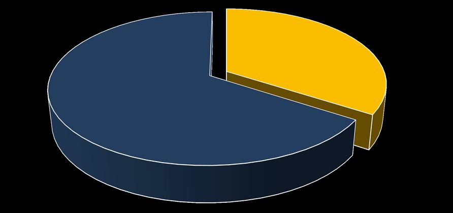 Destinatari Altri disoccupati; 66% Disoccupati di lunga d.