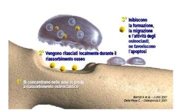 DENOSUMAB Gaetano